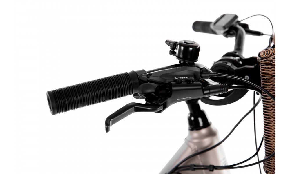 Rower miejski elektryczny ProEco by Romet Wave AN 1.0 2025 + koszyk - szampański