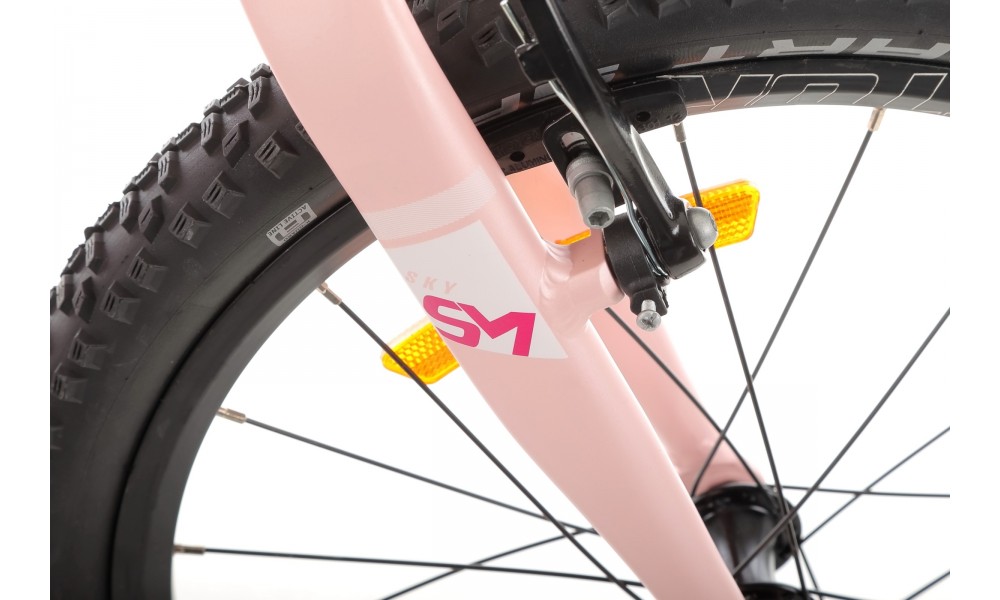 Rower dziecięcy Storm Sky 20 Super Light