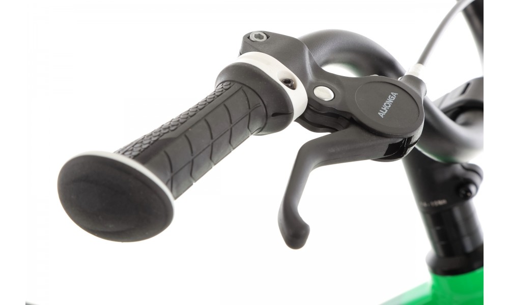 Rower dziecięcy Storm Spike 20 Super Light - zielony