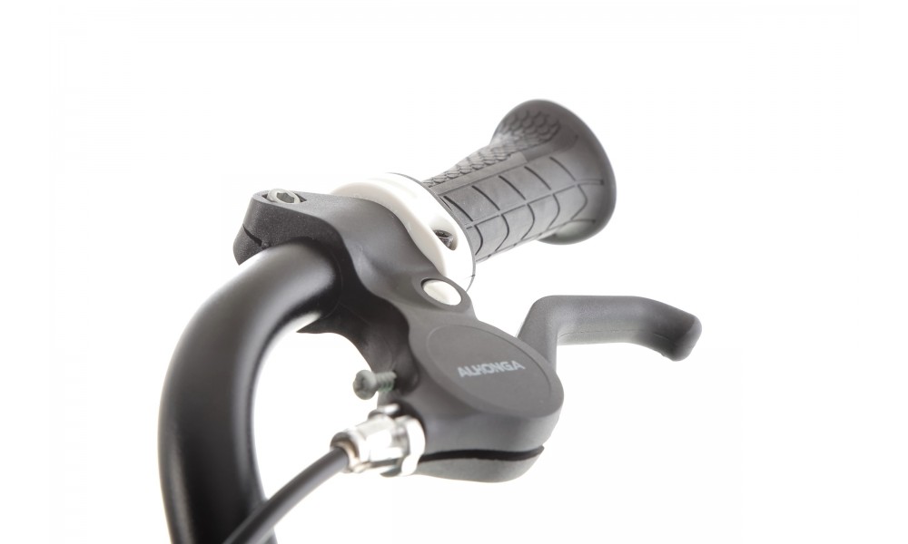 Rower dziecięcy Storm Spike 20 Super Light - zielony