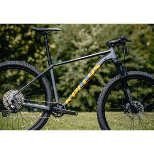 Rower górski Kellys Gate 30  - szary-złoty 2