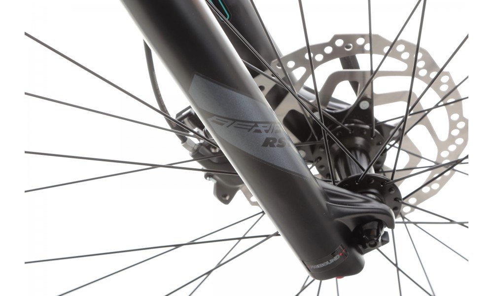 Rower górski Superior XC 899  - czarno-srebrny