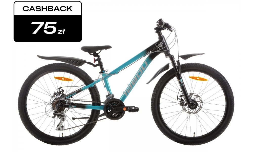 Rower młodzieżowy Tabou Supergirl 24 1.0 2025 - czarno-turkusowy