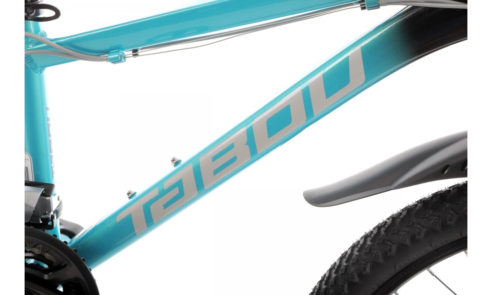 Rower młodzieżowy Tabou Supergirl 24 1.0 2025 - czarno-turkusowy