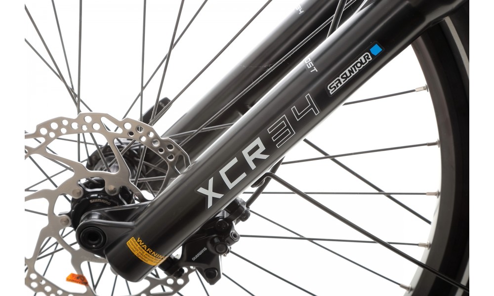 Rower trekkingowy elektryczny Ecobike Dare - grafitowy