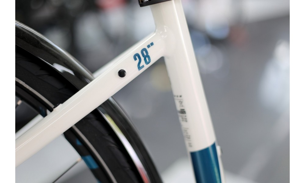 Rower miejski elektryczny R-Raymon CityRay E 7.0 CB - czarno-szary