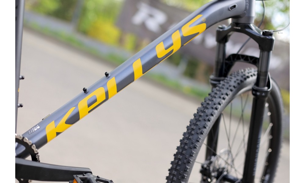 Rower górski Kellys Gate 30  - szary-żółty