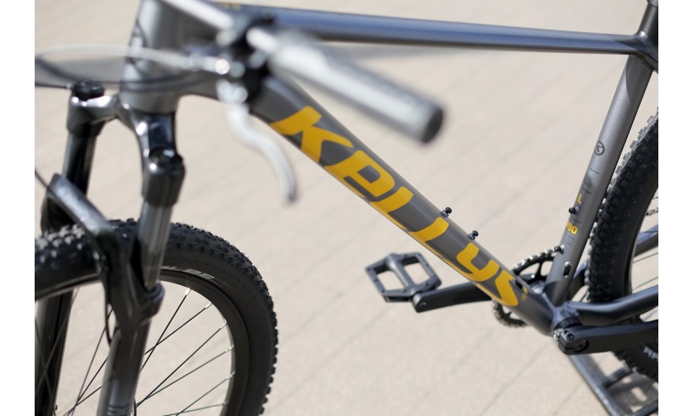 Rower górski Kellys Gate 30  - szary-żółty
