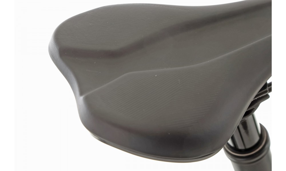 Rower górski elektryczny R-Raymon Tarok  Pro - szaro-zielony