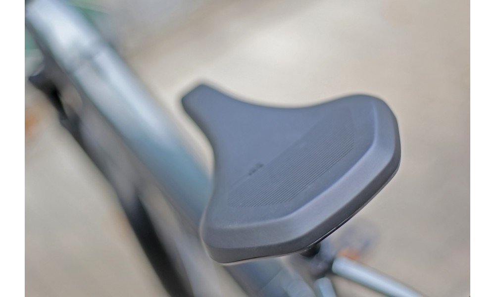 Rower miejski elektryczny R-Raymon Metmo FW - czarny