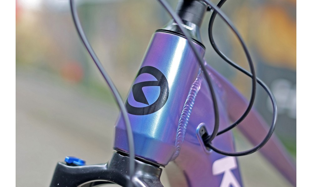 Rower górski elektryczny Kellys Tayen R50 27,5" P 025 - fioletowy