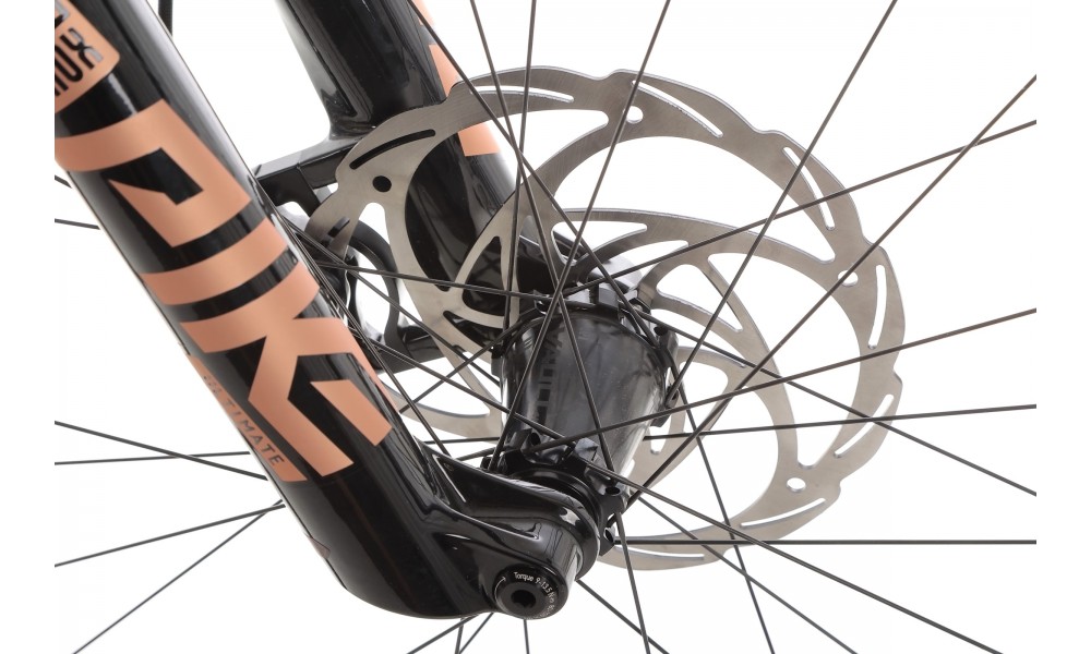 Rower górski elektryczny R-Raymon AirRay 12.0 - czarny Potestowy