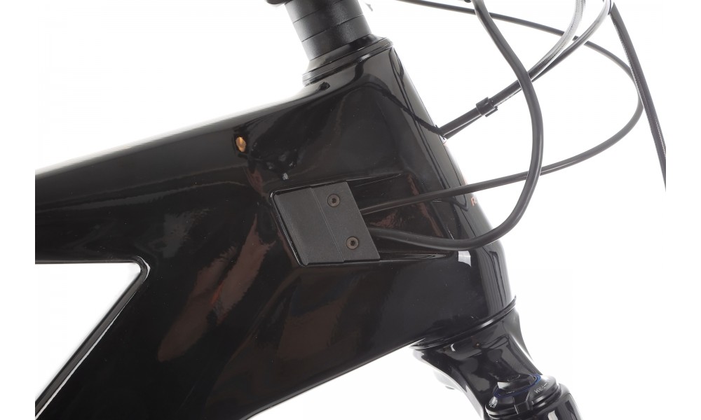 Rower górski elektryczny R-Raymon AirRay 12.0 - czarny Potestowy