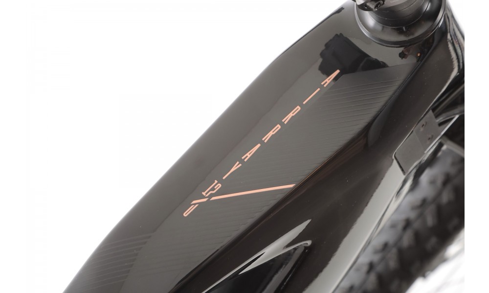 Rower górski elektryczny R-Raymon AirRay 12.0 - czarny Potestowy