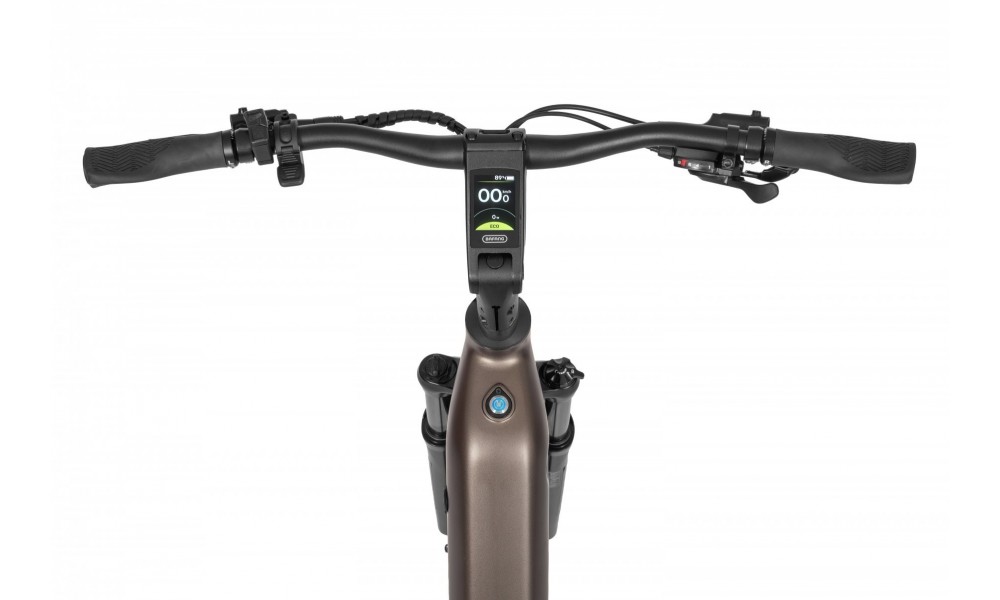 Rower trekkingowy elektryczny Ecobike LX300 Onyx - grafitowy