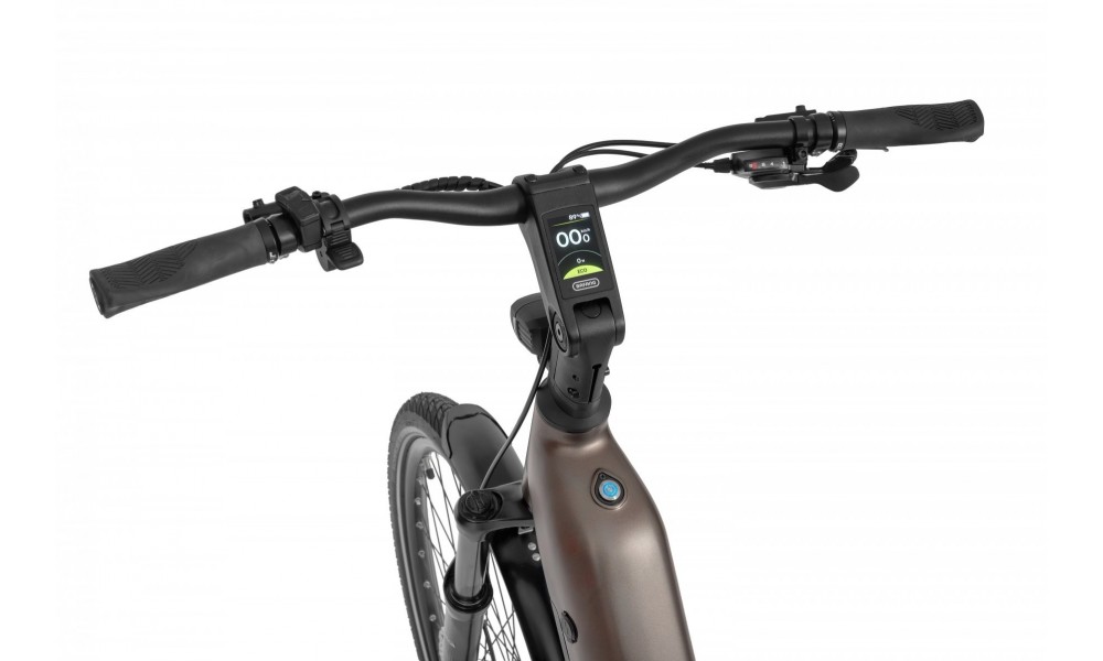 Rower trekkingowy elektryczny Ecobike LX300 Onyx - grafitowy