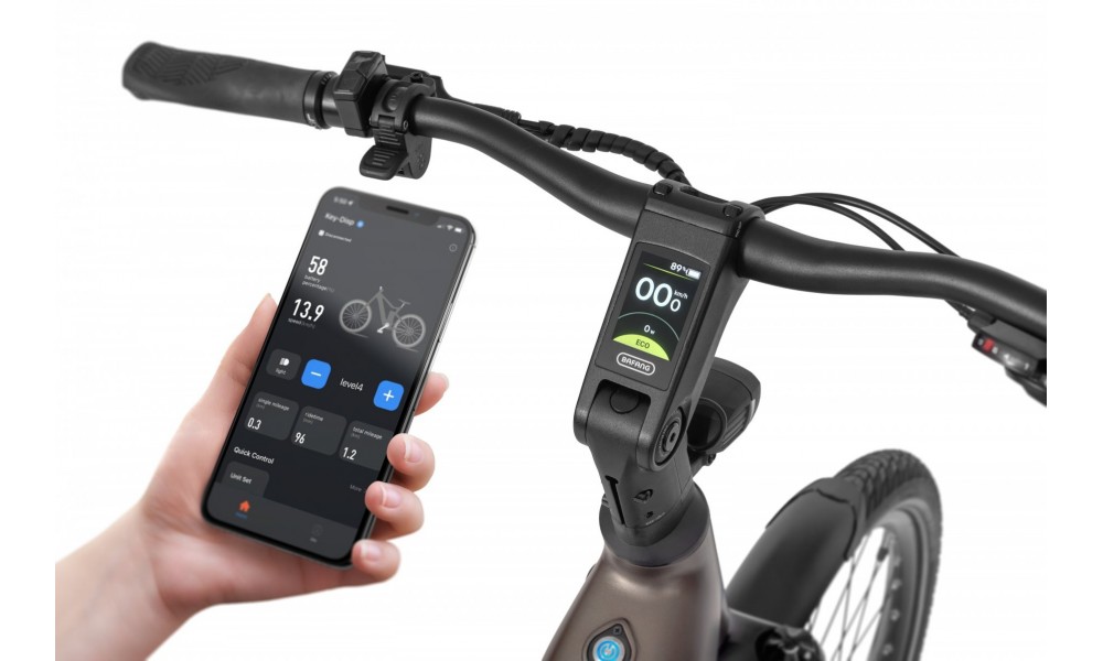 Rower trekkingowy elektryczny Ecobike LX300 Onyx - grafitowy