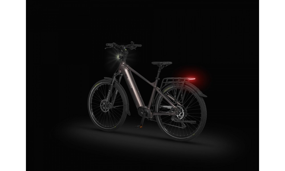 Rower trekkingowy elektryczny Ecobike MX300 Golden Grey - szary