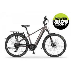 Rower trekkingowy elektryczny Ecobike MX300 Golden Grey - szary 1
