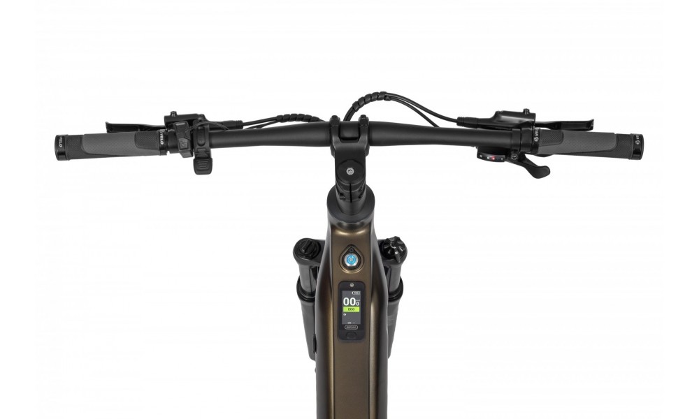 Rower górski elektryczny Ecobike SX300 Green - zielony