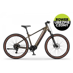 Rower górski elektryczny Ecobike SX300 Green - zielony 1