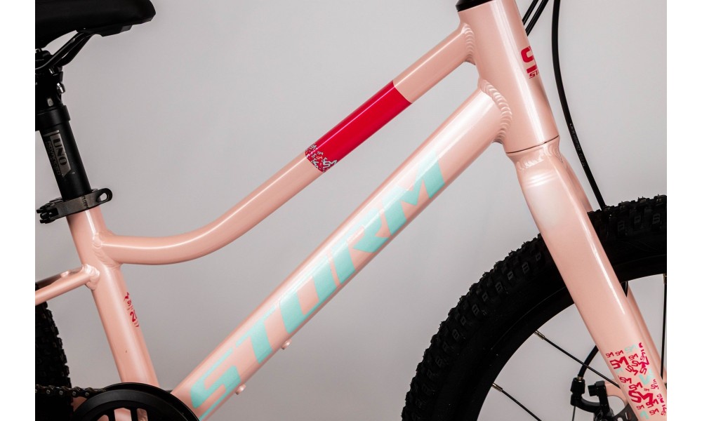 Rower dziecięcy Storm Bella 20 2MD - pudrowy róż