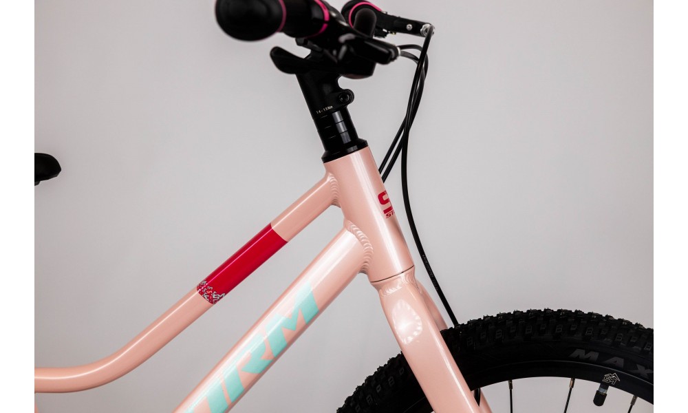 Rower dziecięcy Storm Bella 20 2MD - pudrowy róż