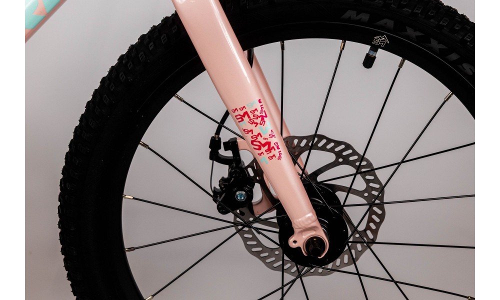 Rower dziecięcy Storm Bella 20 2MD - pudrowy róż