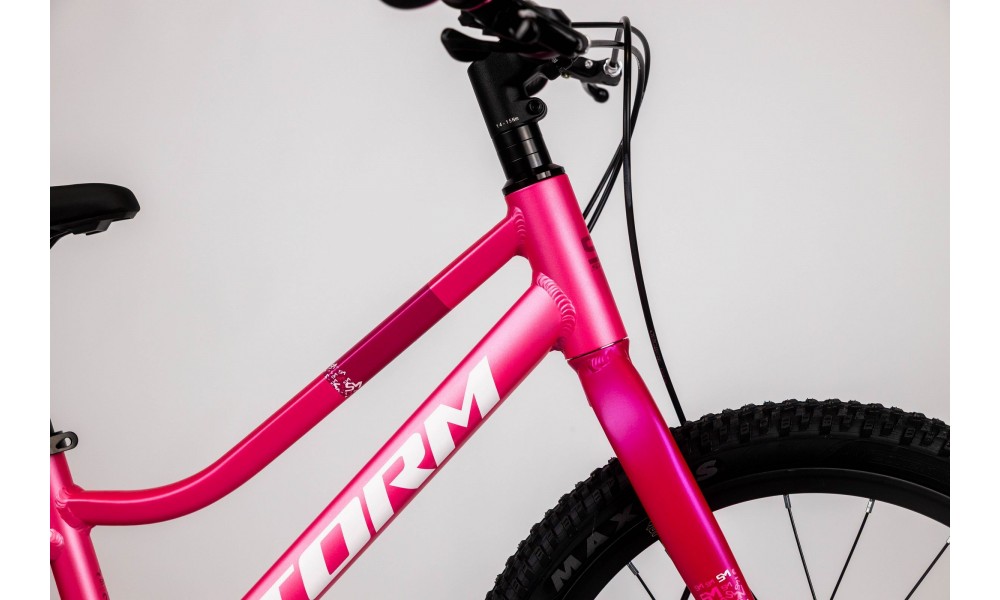 Rower dziecięcy Storm Bella 20 2MD - ciemnoróżowy