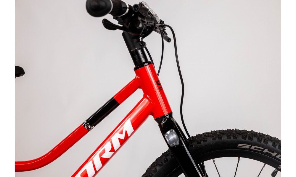 Rower dziecięcy Storm Rocky 20 2HD - czerwony