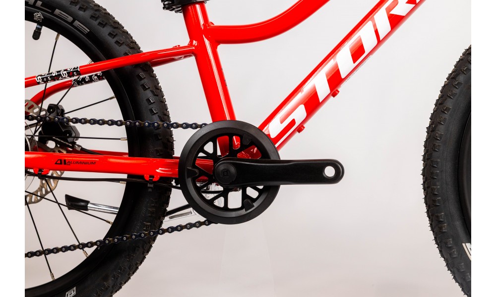 Rower dziecięcy Storm Rocky 20 2HD - czerwony