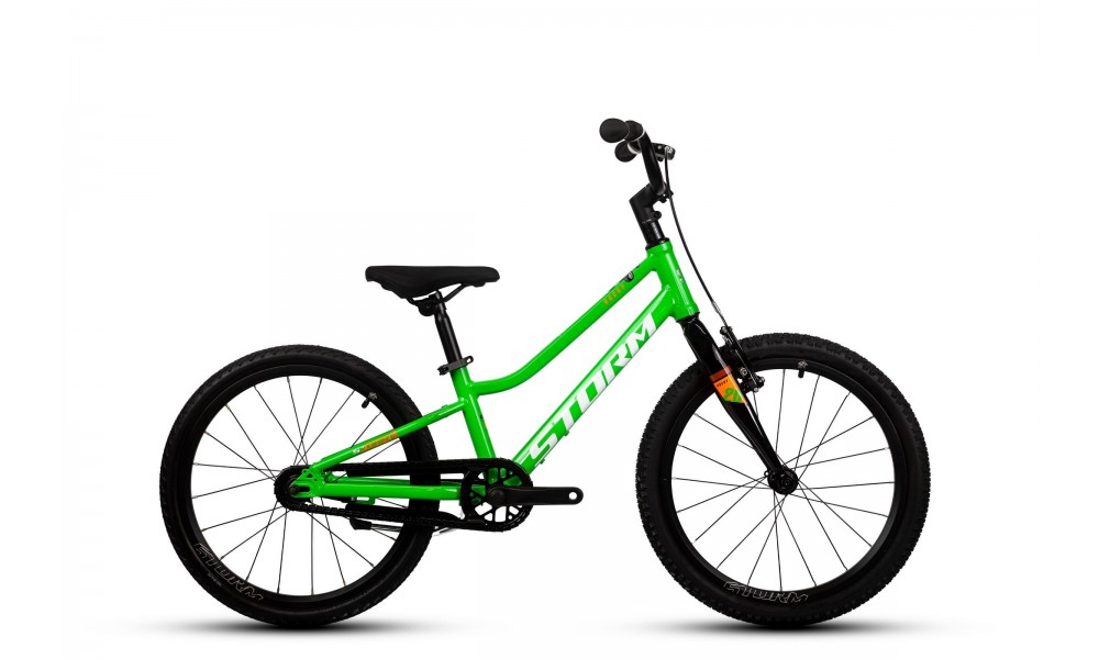 Rower dziecięcy Storm Rocky 20 Light - zielony