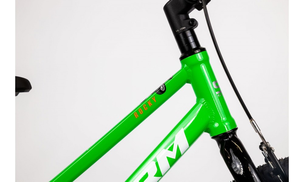 Rower dziecięcy Storm Rocky 20 Light - zielony