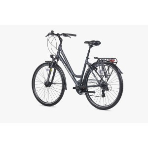 Rower trekkingowy Unibike Vision Lady 026 - szary 2