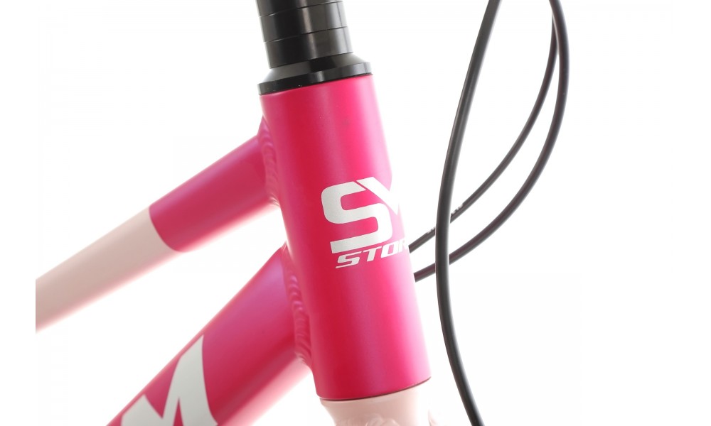 Rower młodzieżowy Storm Bella 24 2.0 2HD - ciemnoróżowy