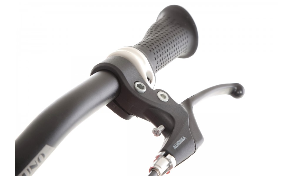 Rower młodzieżowy Storm Rocky 24 - czerwony