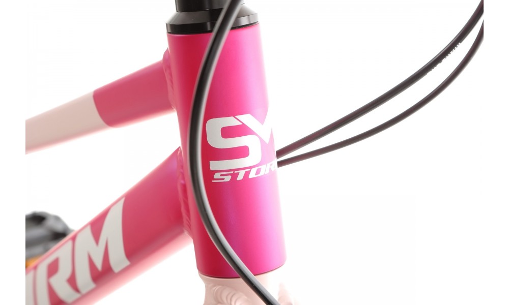 Rower młodzieżowy Storm Bella 24 1.0 2MD - ciemnoróżowy