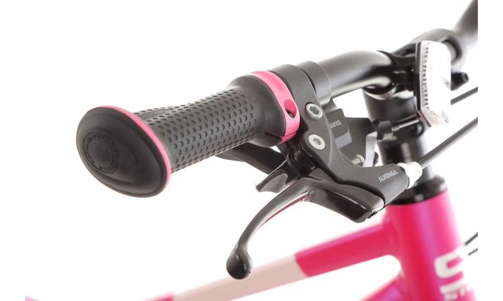 Rower młodzieżowy Storm Bella 24 1.0 2MD - ciemnoróżowy