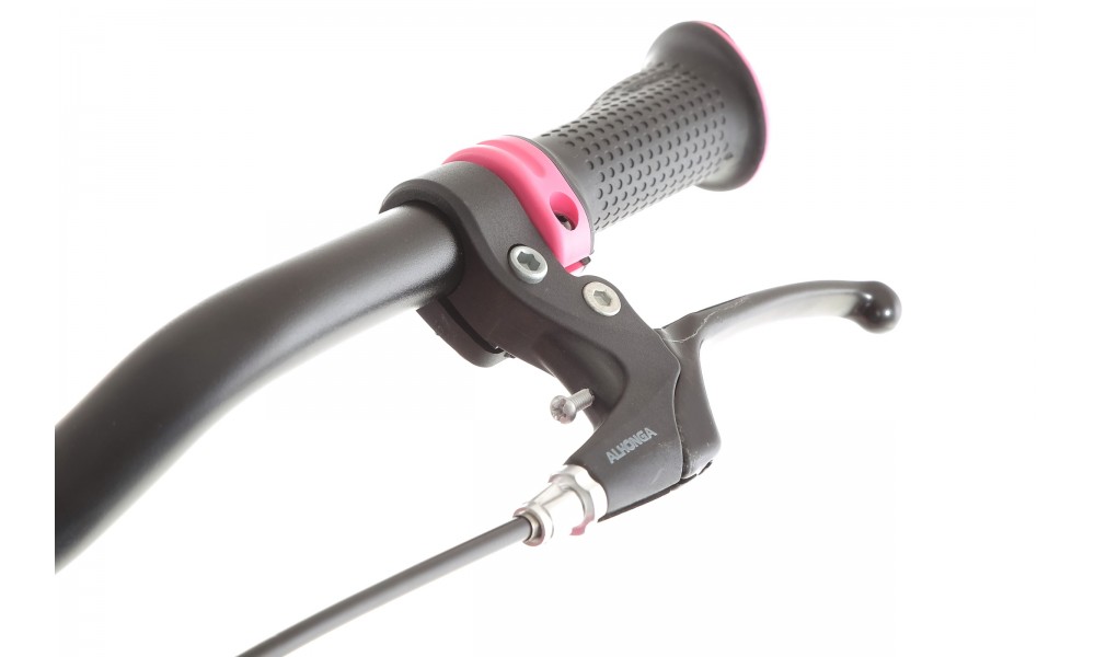 Rower młodzieżowy Storm Bella 24 1.0 2MD - ciemnoróżowy