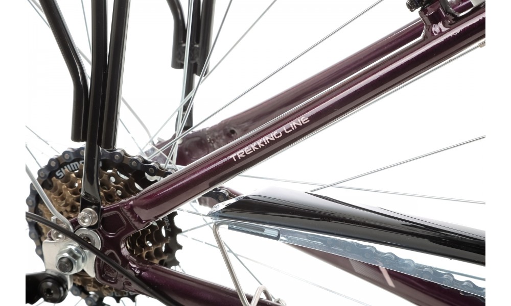 Rower trekkingowy Storm Marathon 1.0 Lady - fioletowy