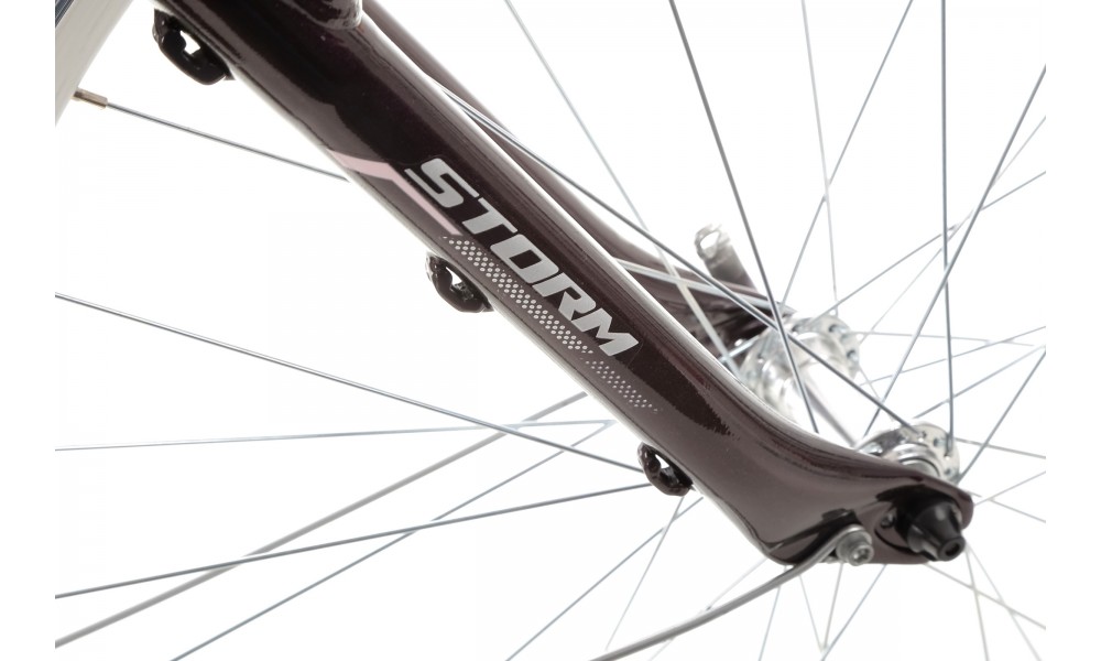 Rower trekkingowy Storm Marathon 1.0 Lady - fioletowy