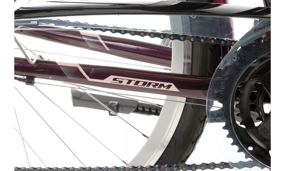 Rower trekkingowy Storm Marathon 1.0 Lady - fioletowy