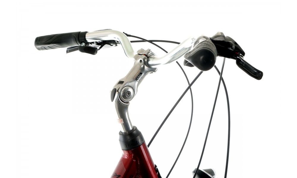 Rower trekkingowy Storm Marathon 1.0 Lady - bordowy