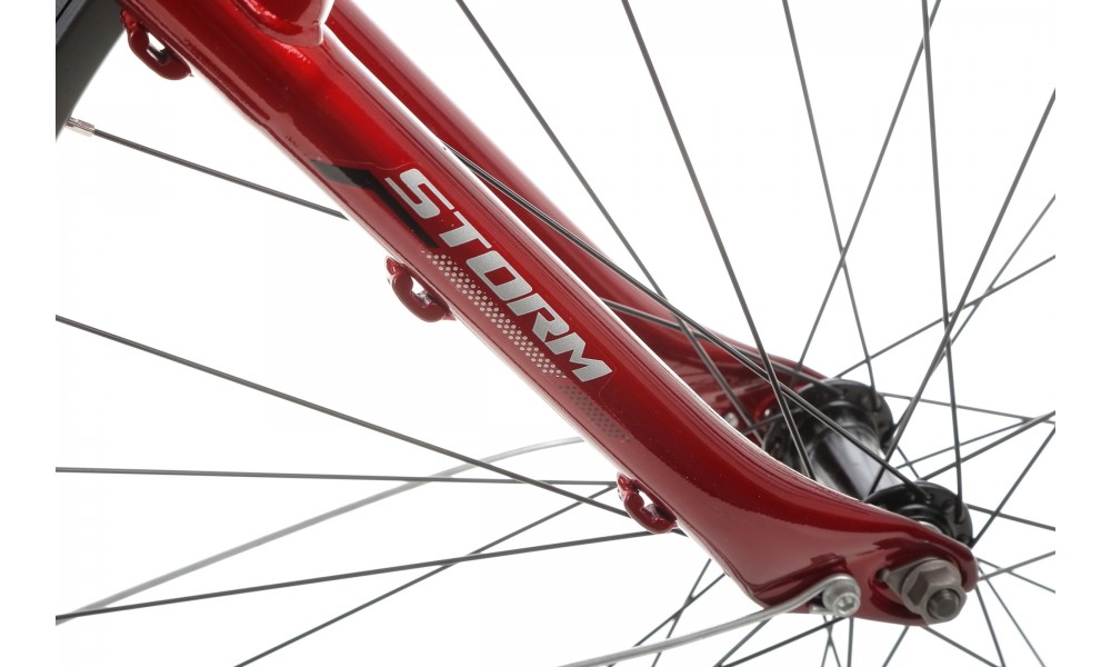 Rower trekkingowy Storm Marathon 1.0 Lady - bordowy