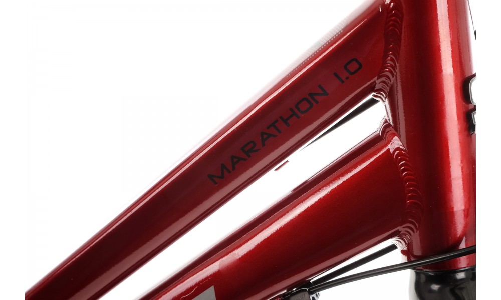 Rower trekkingowy Storm Marathon 1.0 Lady - bordowy