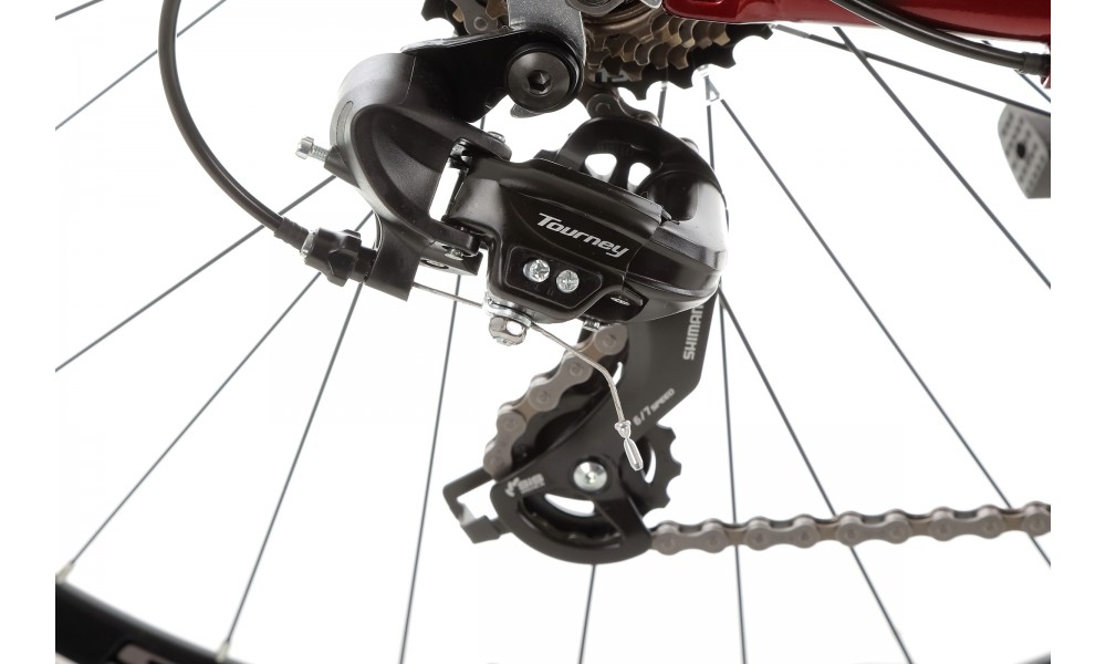 Rower trekkingowy Storm Marathon 1.0 Lady - bordowy