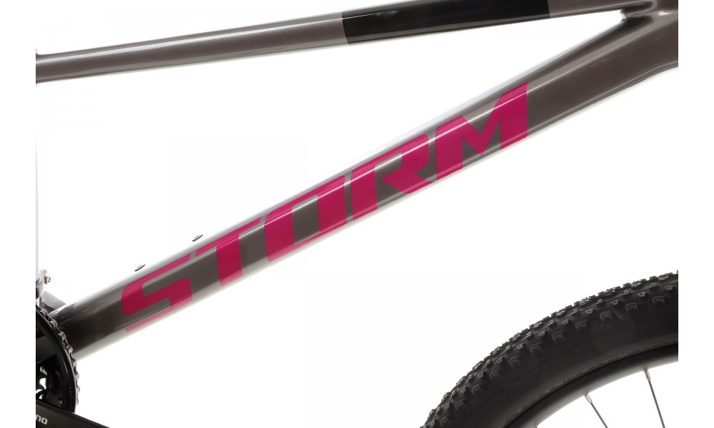 Rower górski Storm Trail Lady 1.0 27,5 - szaro-czarny