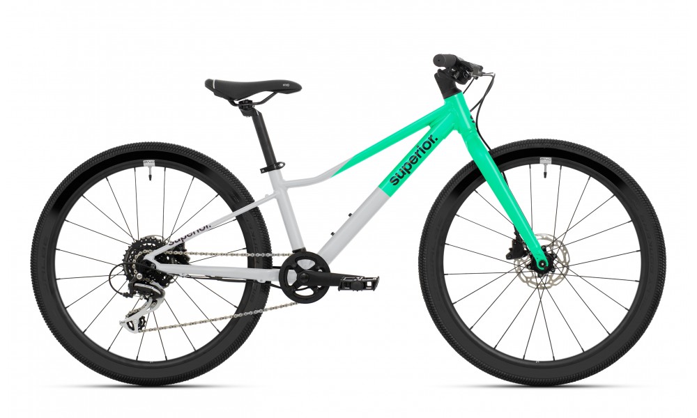 Rower młodzieżowy Superior F.L.Y. 24 026 - szaro-miętowy