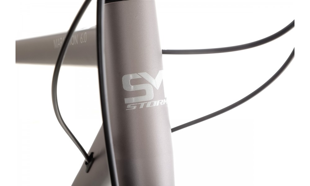 Rower trekkingowy Storm Marathon 6.0 Man - szary