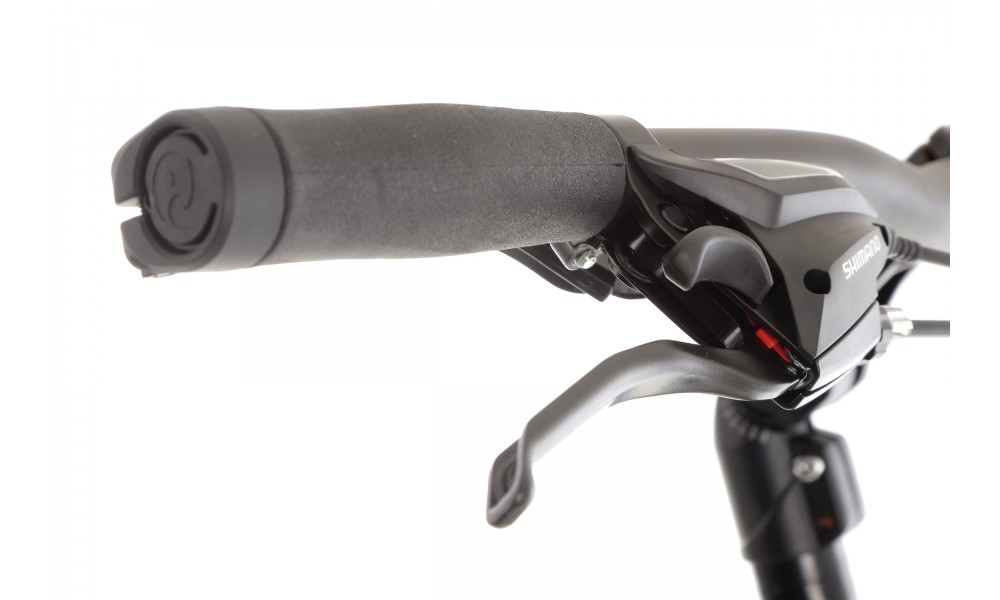 Rower trekkingowy Storm Marathon 6.0 Man - szary